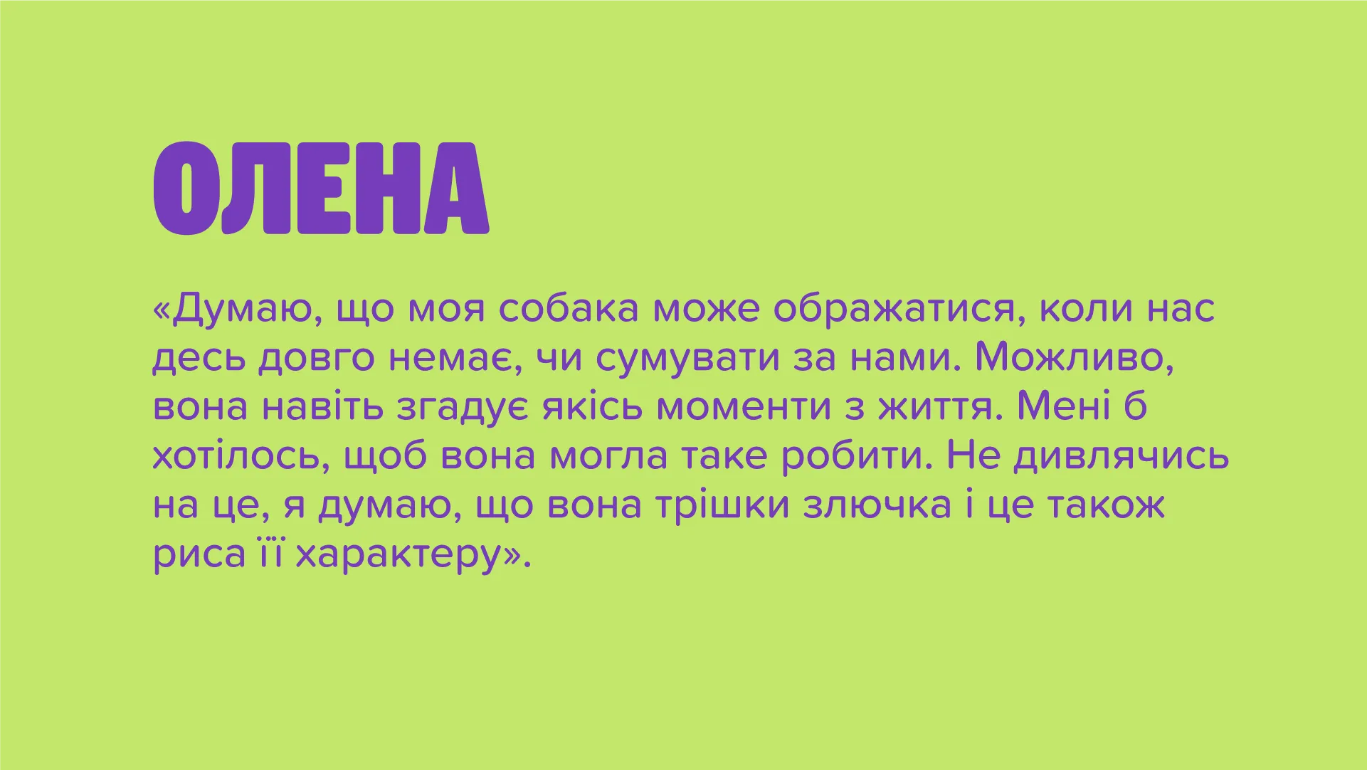 Master Zoo Mega Case — кейс Taktika