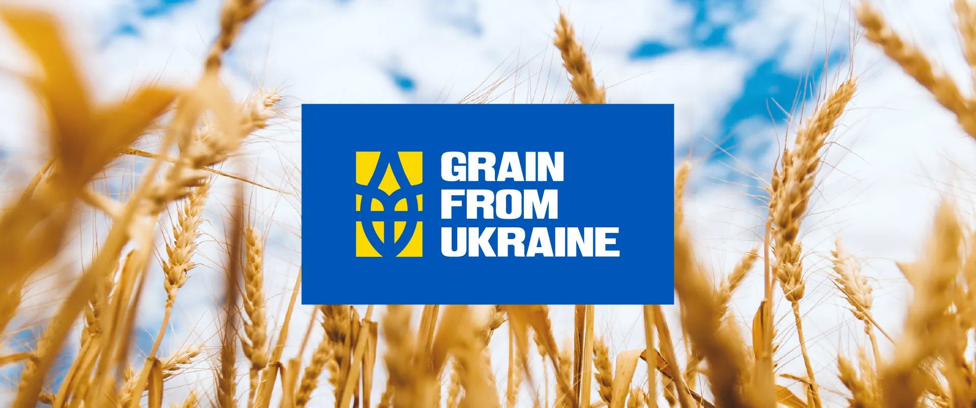 Grain From Ukraine — кейс Taktika