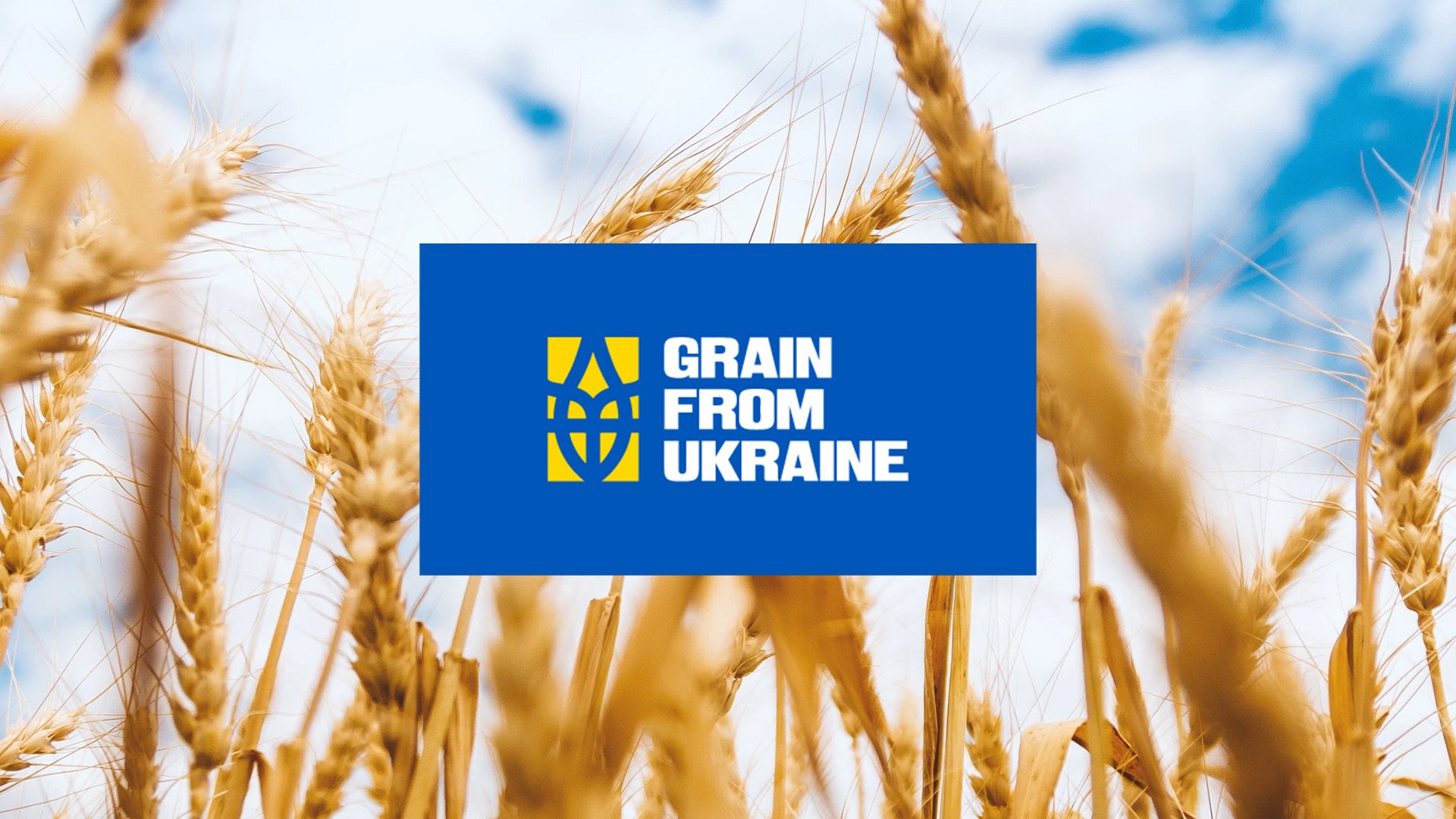 Demine Ukraine — кейс Taktika