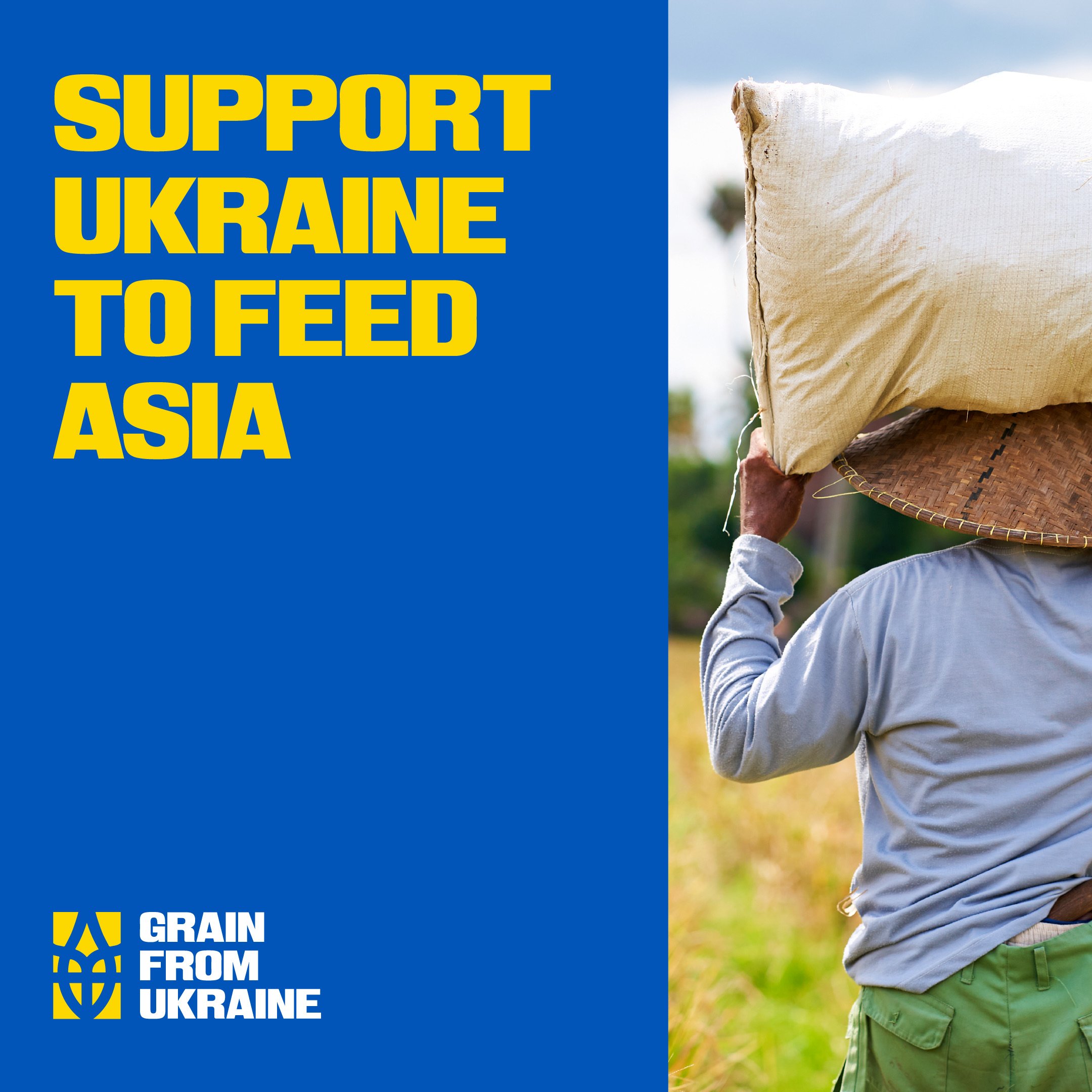 Grain From Ukraine — кейс Taktika