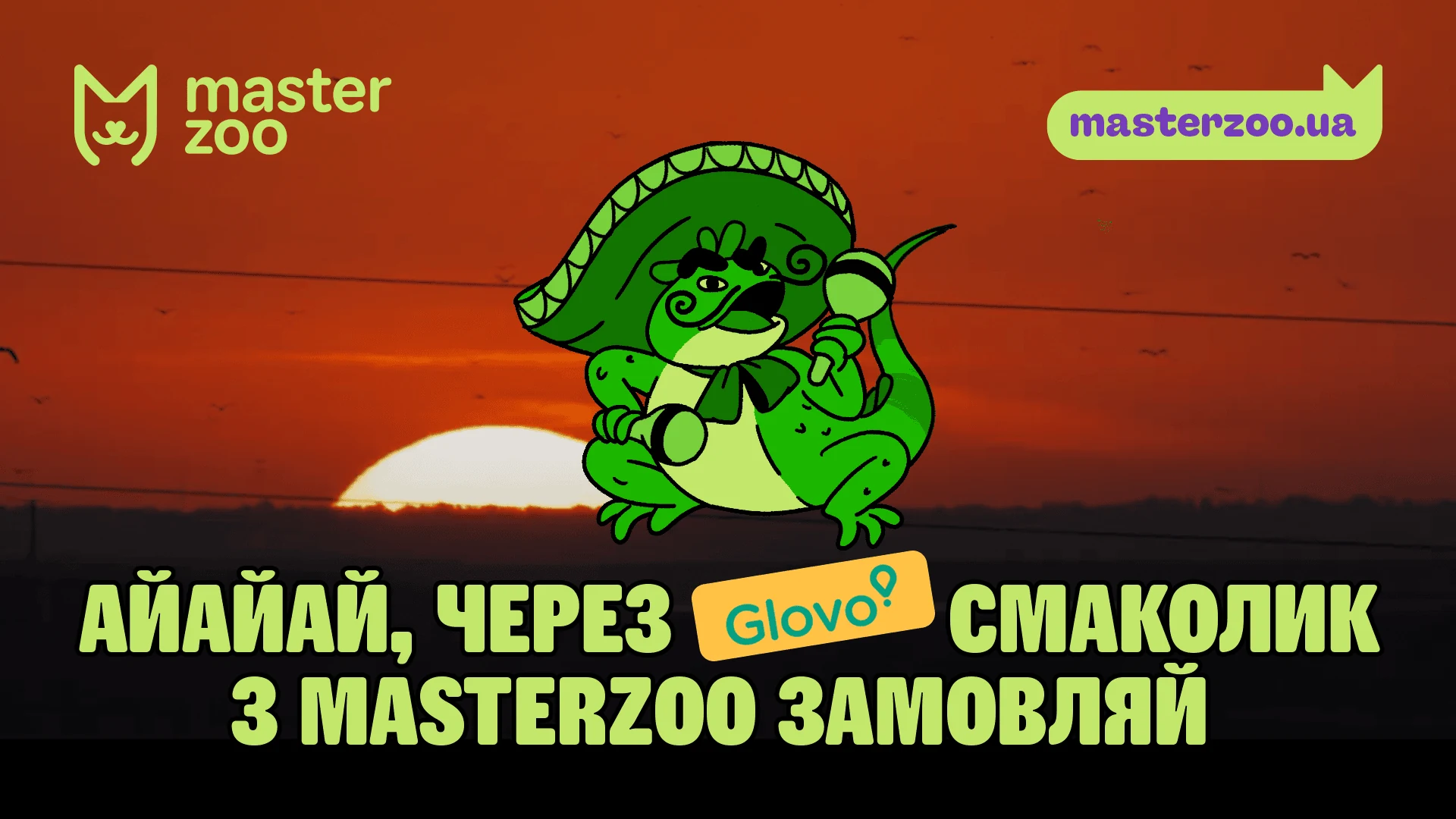 Master Zoo Mega Case — кейс Taktika