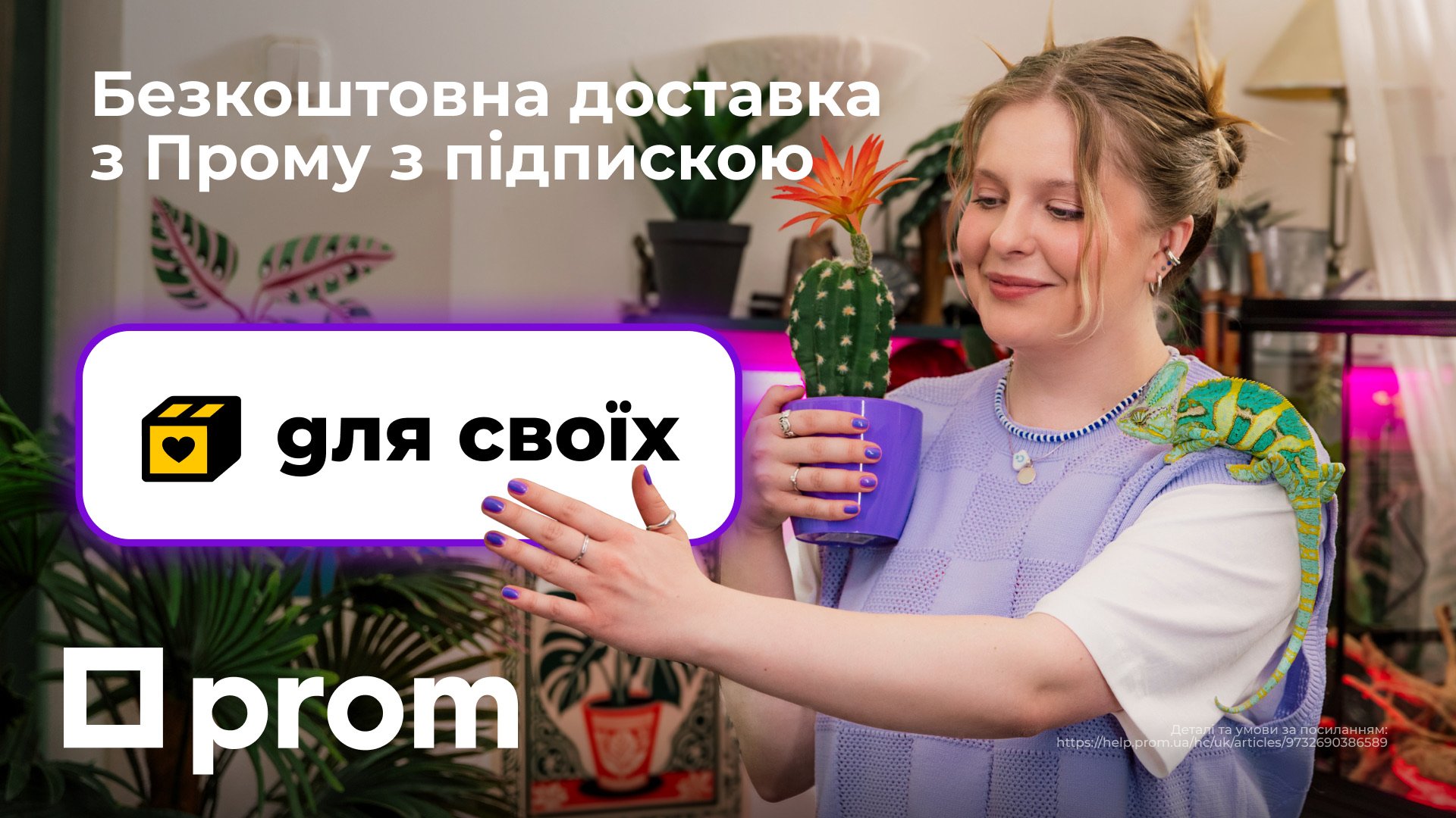 Prom — кейс Taktika