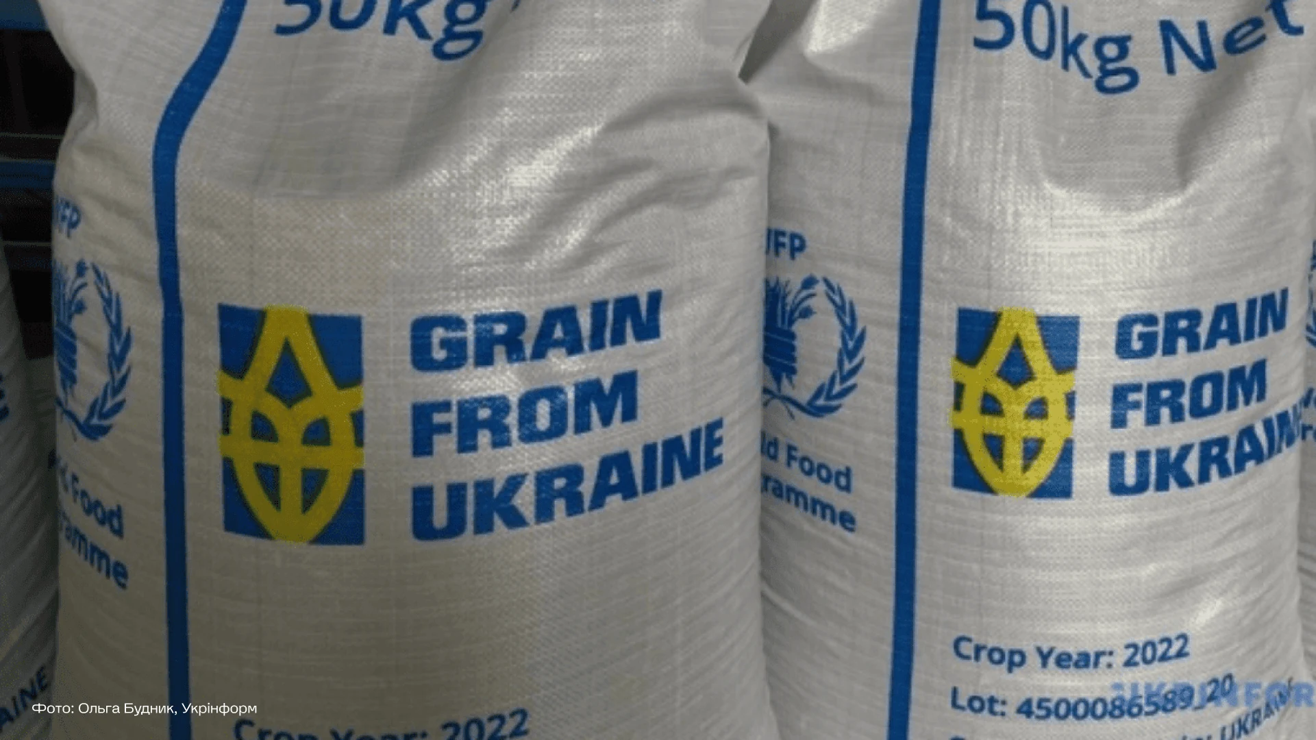 Grain From Ukraine — кейс Taktika