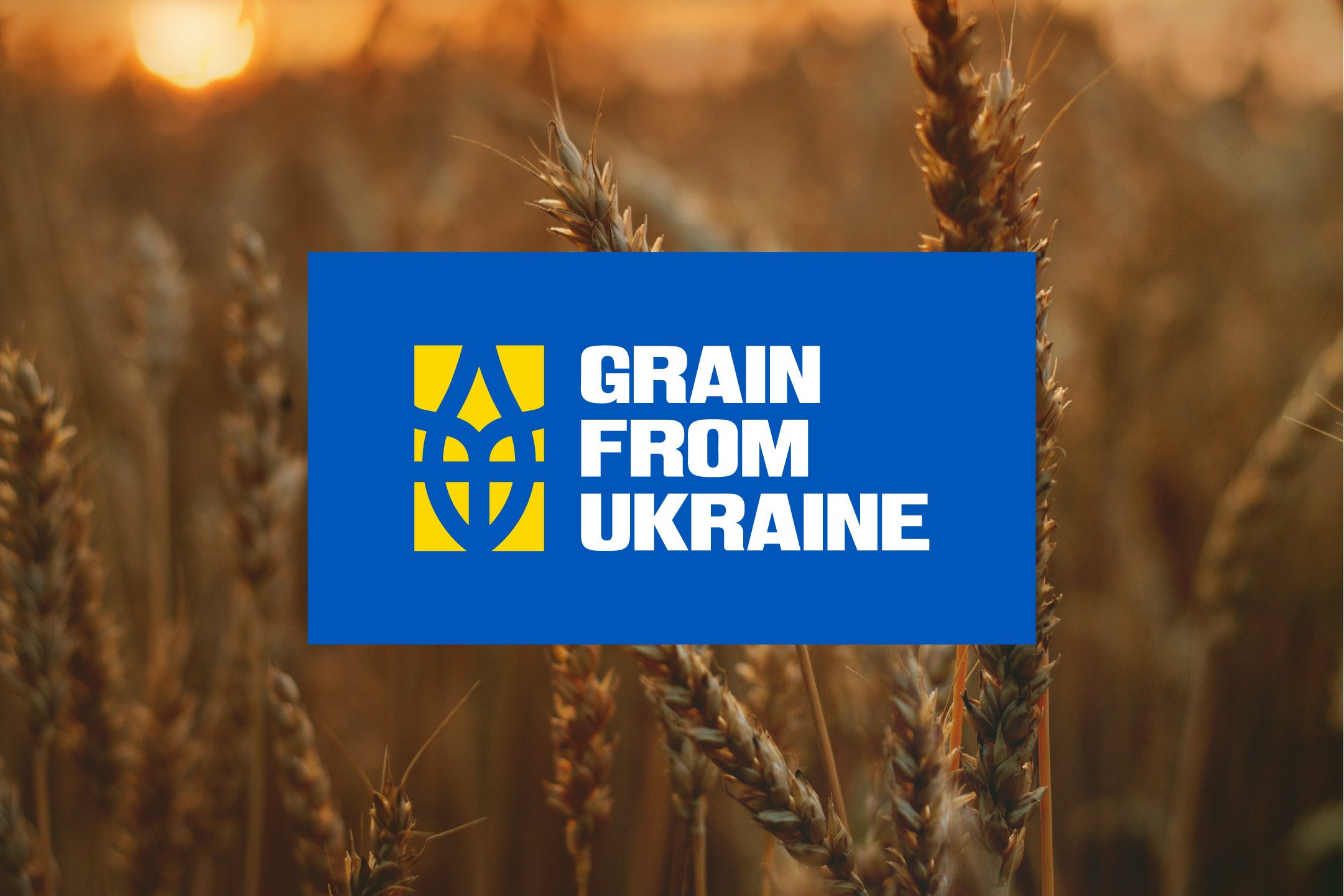 Grain From Ukraine — кейс Taktika