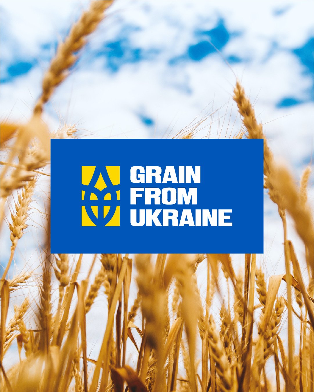 Grain From Ukraine — кейс Taktika